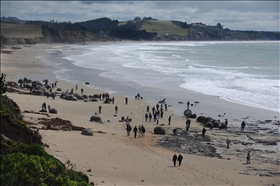 Moeraki Boulders